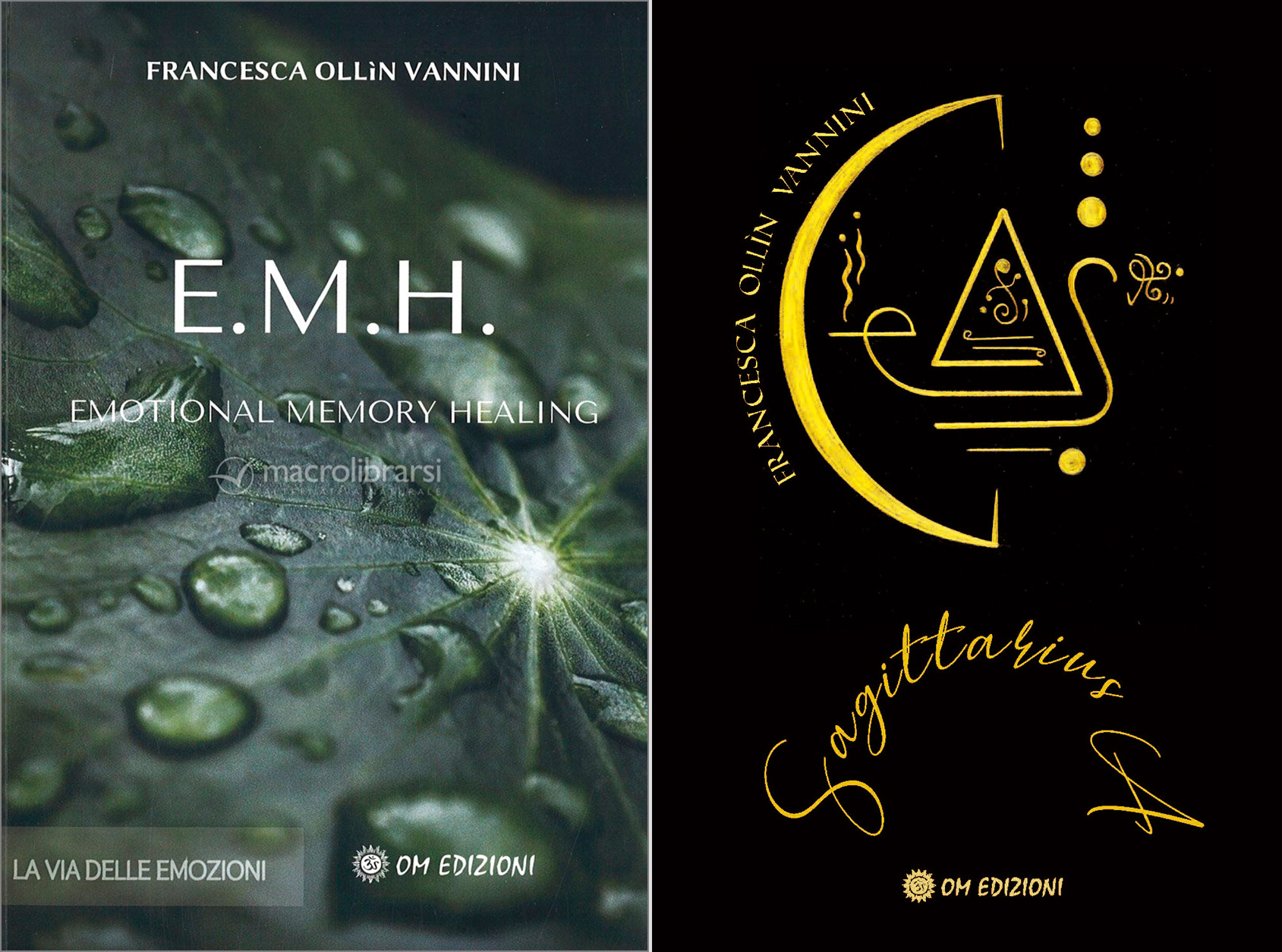 libri_ollin-ok