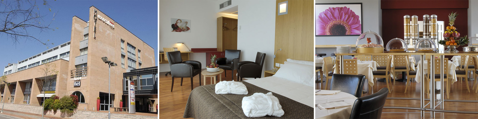 foto hotel executive