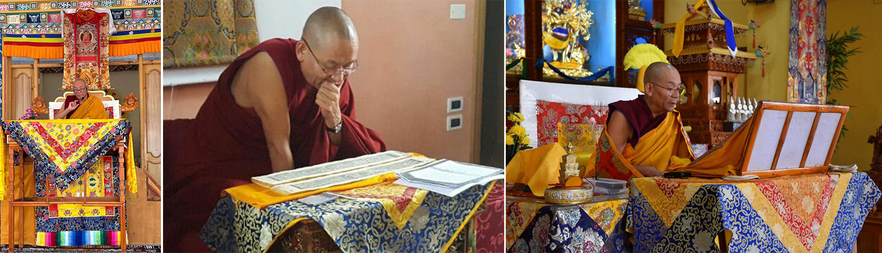 striscia tenzin 1