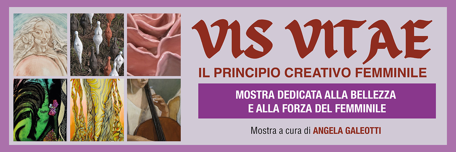 VIS VITAE HOME
